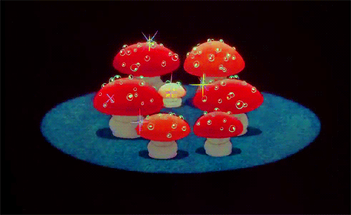 tumblr_n567hzzOfj1tpk7ebo1_500.gif