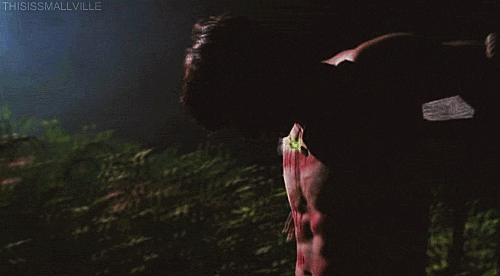 tumblr_lp51us6o1u1qcvfsco1_500.gif