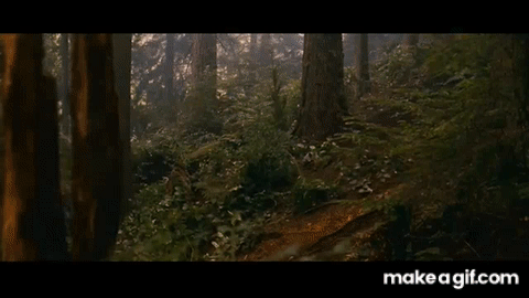 DngOJD.gif