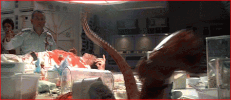 alien5.gif