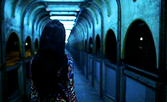 2bb47c6d50c76036e9254631674c0098.gif