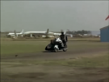9p264l.gif