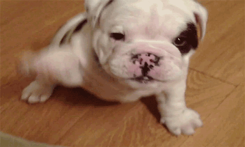 tumblr_m9drwcLtYk1rvzwfjo1_500.gif