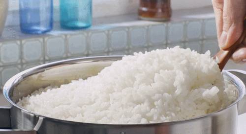 tumblr_mzy85mpd6z1qe2lmeo1_500.gif