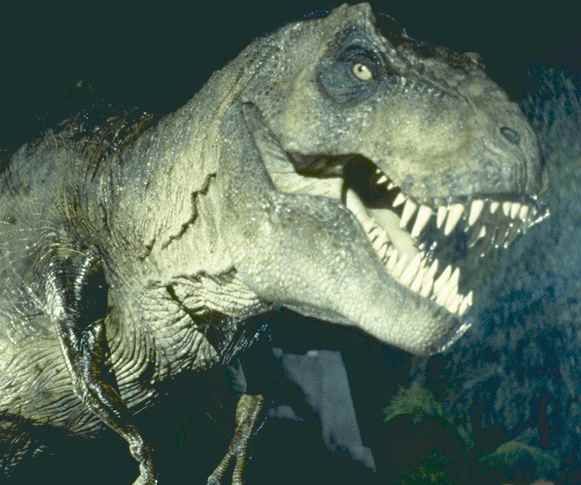 jurassic_park_movie_image_t_rex__1_.jpg