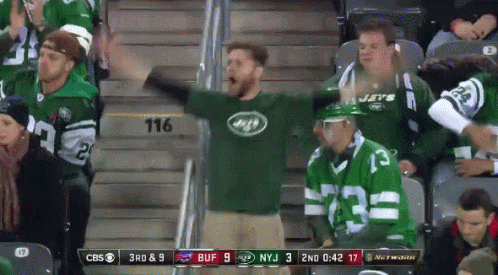 jets-ny-jetts.gif