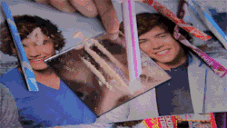 tumblr_mpwiioPPOX1qf5do9o1_250.gif