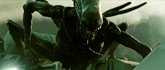 tumblr_om4hpobj9U1rrkahjo8_540.gif