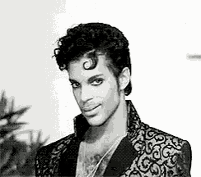 under-the-cherry-moon-prince.gif