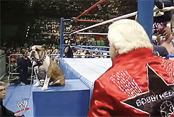 tumblr_mp721gR4eO1s38mqko1_250.gif