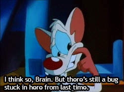 tumblr_mkhvxqHAZw1s5qqcto1_250.gif