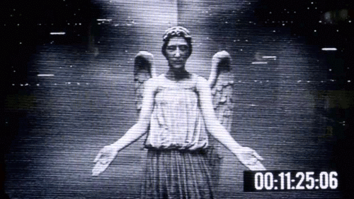 tumblr_licf88LNoP1qesbg8.gif