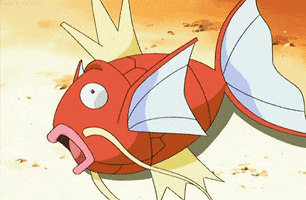 200.gif