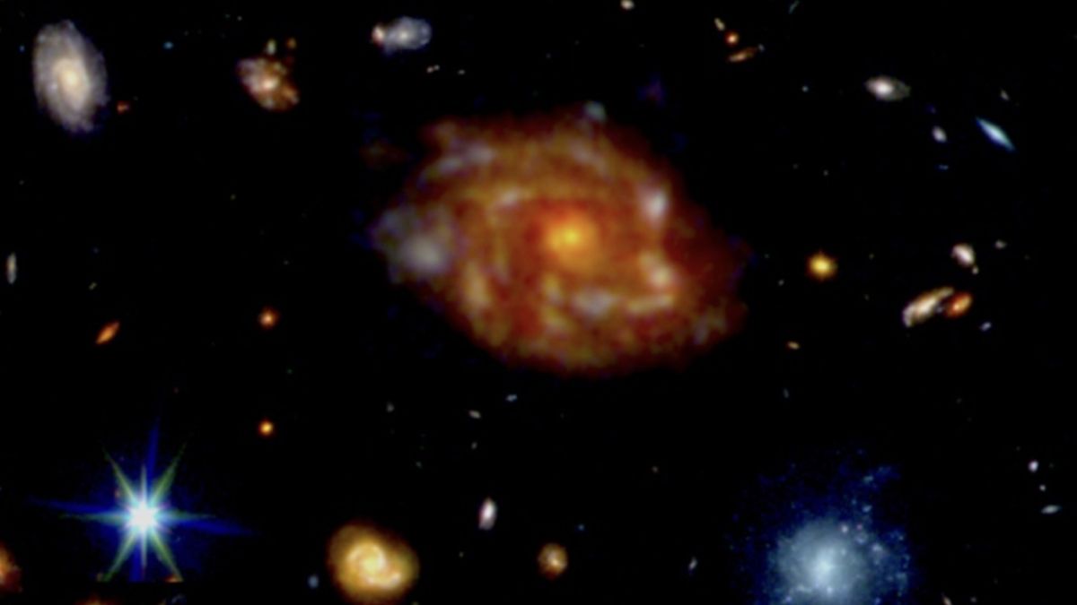 www.livescience.com