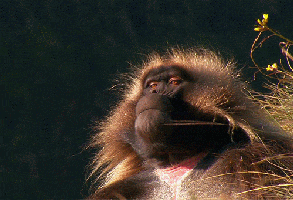 Sleep+well+_2bedae86bcd8ec73cb29d4935bc8a3ed.gif