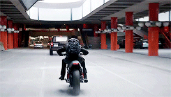 tumblr_o3u4cr4c7j1s14k1wo8_r2_250.gif