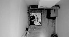 tumblr_n6jyxuQiQH1qglx18o6_250.gif