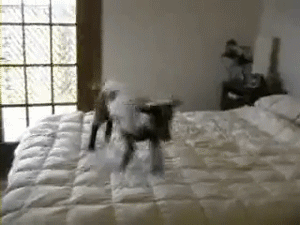 tumblr_mdpn9vIMr61ro2d43.gif