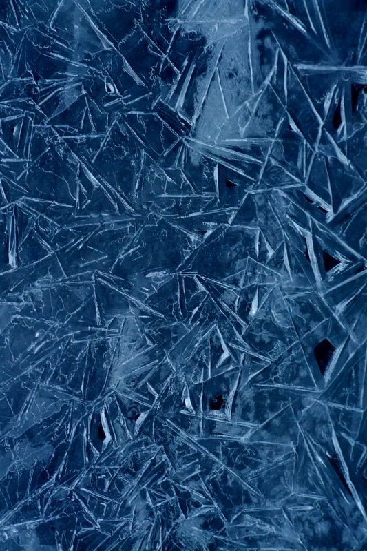dscf7546.jpg
