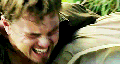 tumblr_n4jh4mLMU71rob81ao9_r1_250.gif