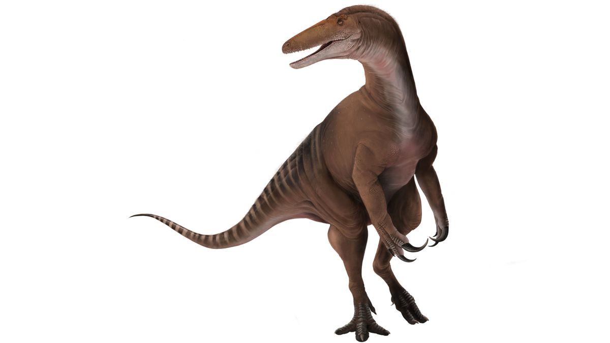 www.livescience.com