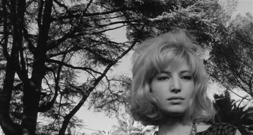 leclisse-the-eclipse.gif