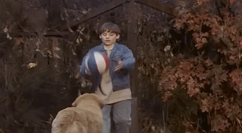 ZiIu.gif