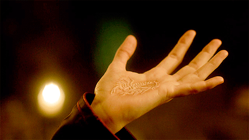 tumblr_nr2cjtDlj61r4d3w4o1_500.gif