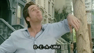 tumblr_m47xt9sWEG1r8vsego1_400.gif