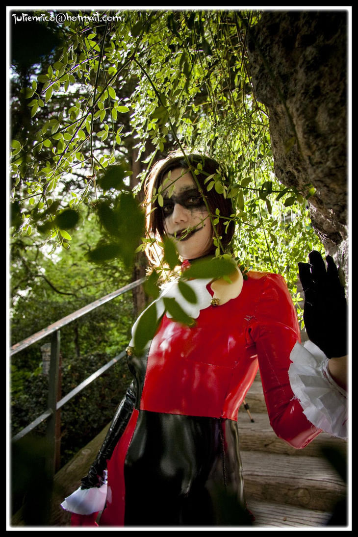 harley_queen_03_by_findenenmacil.jpg