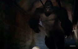 tumblr_njy5vg5sOK1qzucdqo2_250.gif