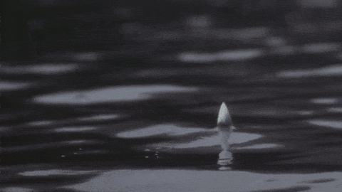 tumblr_o54ub7tt011tfws2co2_500.gif