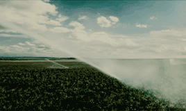 tumblr_plgflg73at1y4hi48o4_400.gif