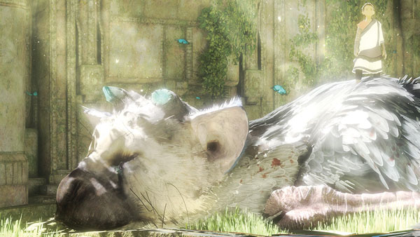 Sony-Purpose-TLG-Footage.jpg