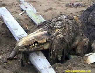 creature_4.jpg