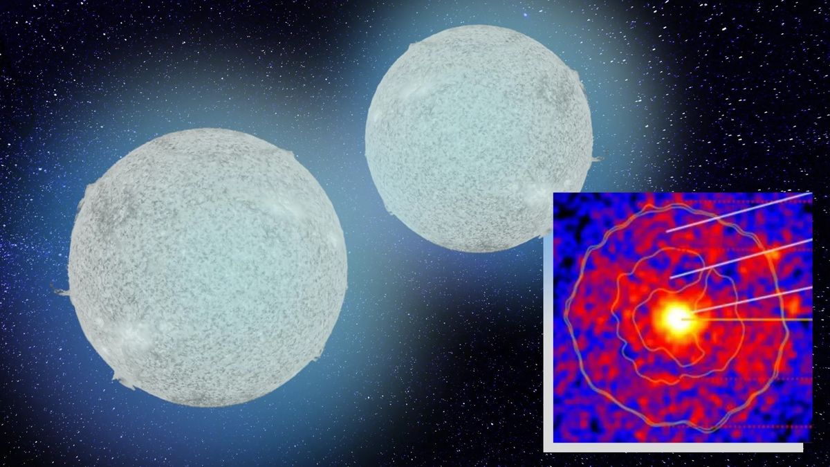www.livescience.com