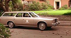 tumblr_nbv856ZWWb1s1v3r1o7_r1_250.gif