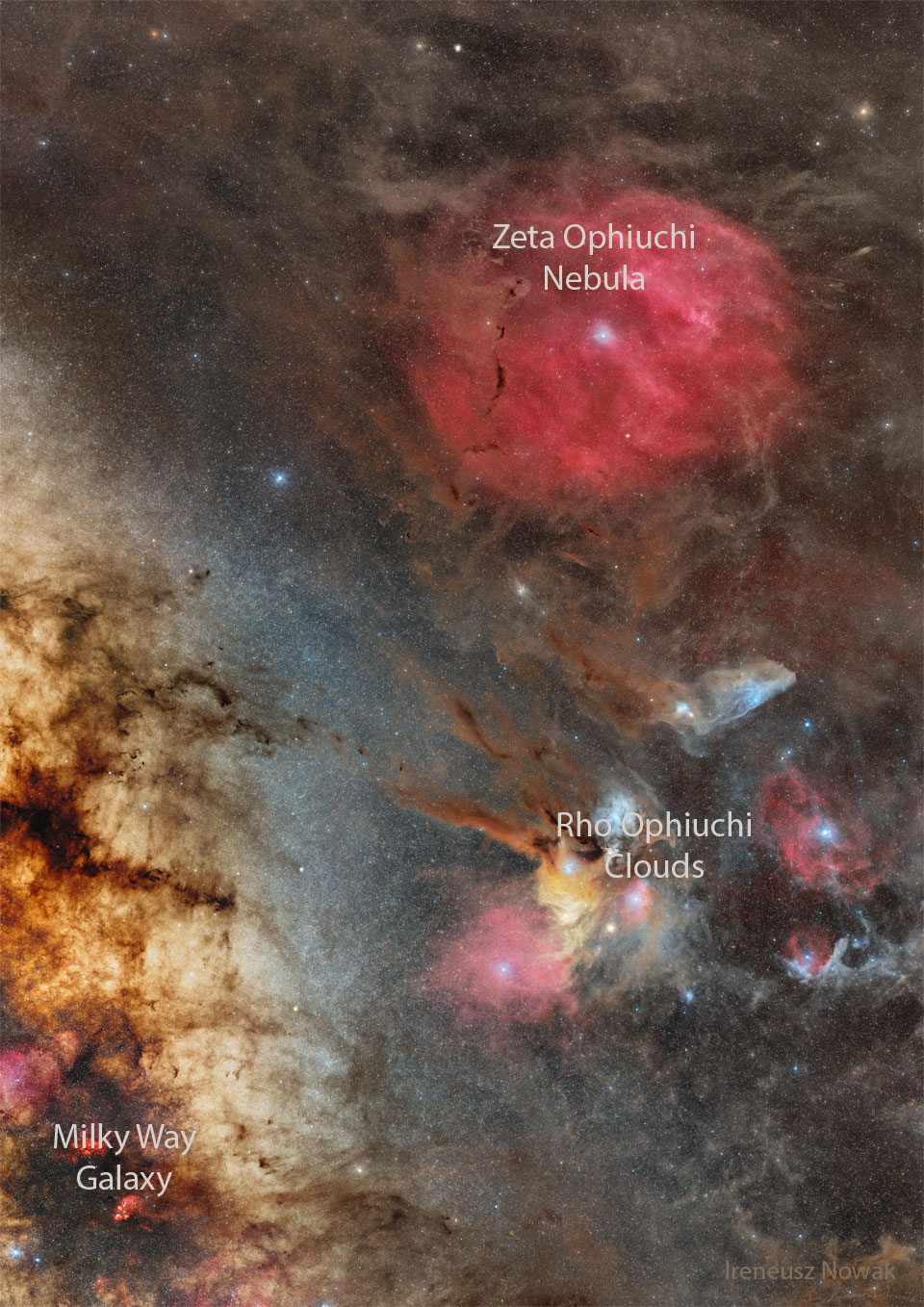 RhoZeta_Nowak_960_annotated.jpg