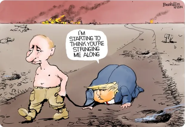 politizoom.com