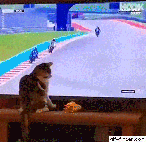 46c68b3744cf85f697f834a24914155b.gif