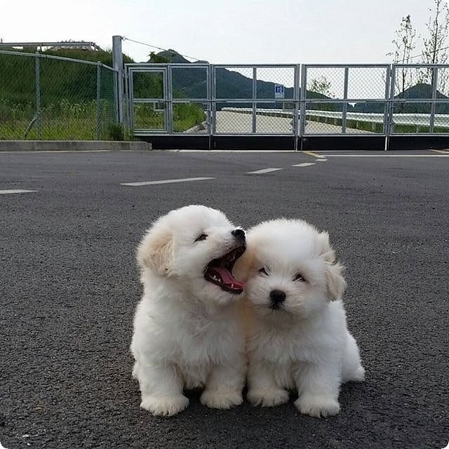 tumblr_pktkql4rH41u545pyo1_640.jpg