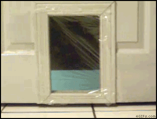 tumblr_nnj62aqrls1ttsrxxo1_400.gif