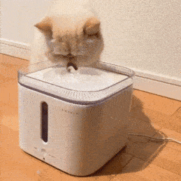 what-happened-to-the-water.gif
