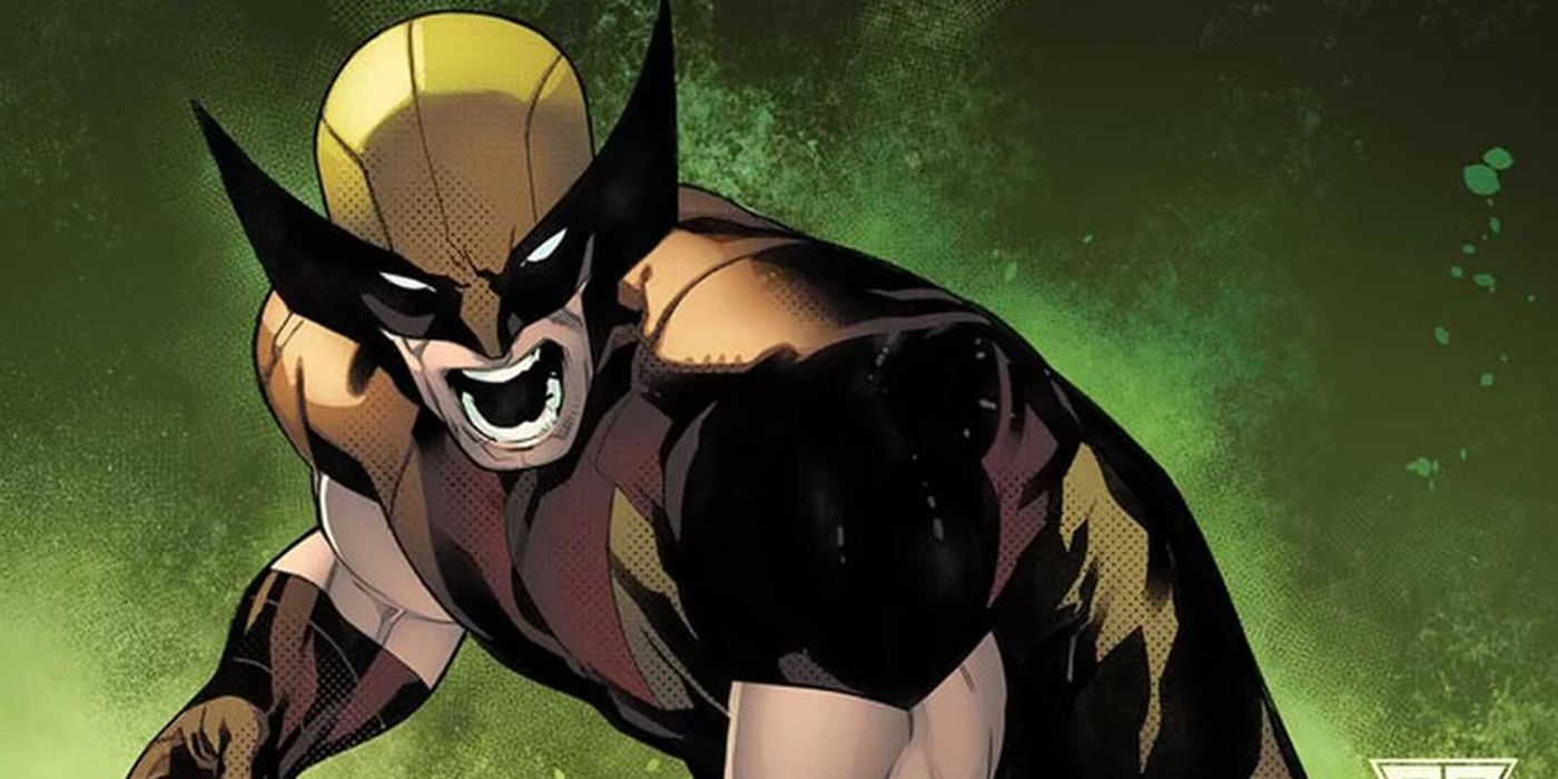 Wolverine-angry-and-fighting.jpg