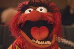 muppet_animal.jpg
