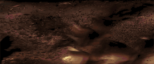 9I1Z.gif