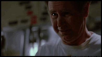 tumblr_mfc98vwkit1ractwko6_400.gif