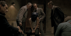 tumblr_mi55ciuQog1qiwa09o6_250.gif