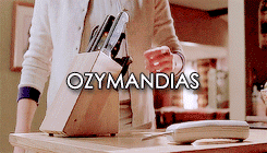 tumblr_nbykcdiPH91rrutvoo8_250.gif