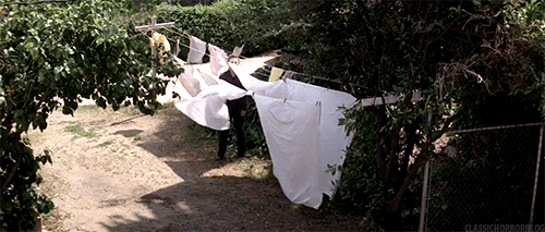 tumblr_oa0x19Zo6b1s1v3r1o2_500.gif